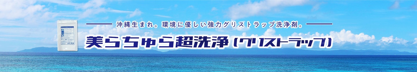 美らちゅら超洗浄(グリストラップ)
